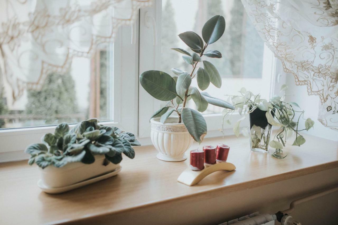 Wakacyjna Przygoda W Gdyni Gdynia Ngoại thất bức ảnh